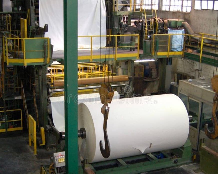 Exposed: How the Paper Industry Is Destroying the Environment